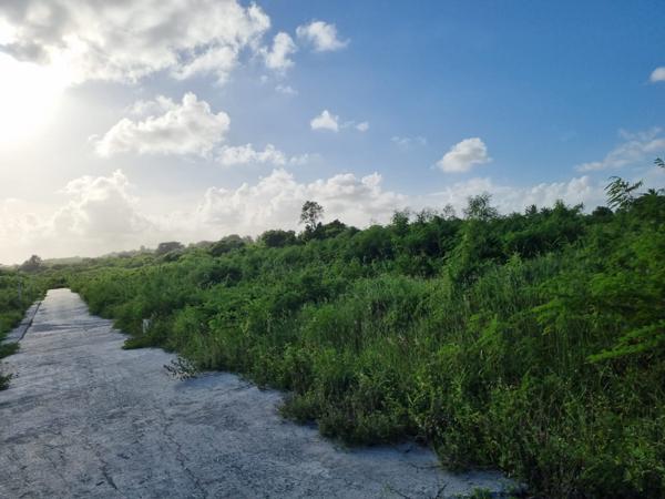 Saint-François (97118) TERRAIN PLAT, VIABILISE, BORNE DANS LE LOTISSEMENT