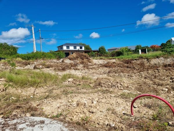 Saint-François (97118) TERRAIN PLAT, VIABILISE, BORNE DANS LE LOTISSEMENT