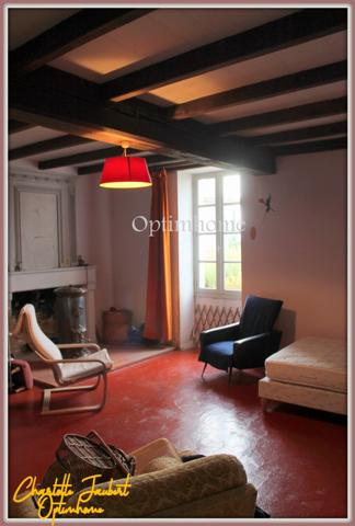 ensemble de 2 maisons en pierre + grand terrain