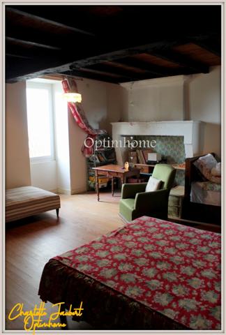 ensemble de 2 maisons en pierre + grand terrain