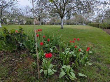 Terrain non constructible à vendre à Nogent-le-Rotrou dans l'Eure-et-Loir (28400), ref : 11247/278 Plateau st-jean