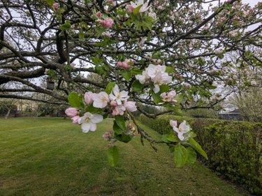 Terrain non constructible à vendre à Nogent-le-Rotrou dans l'Eure-et-Loir (28400), ref : 11247/278 Plateau st-jean