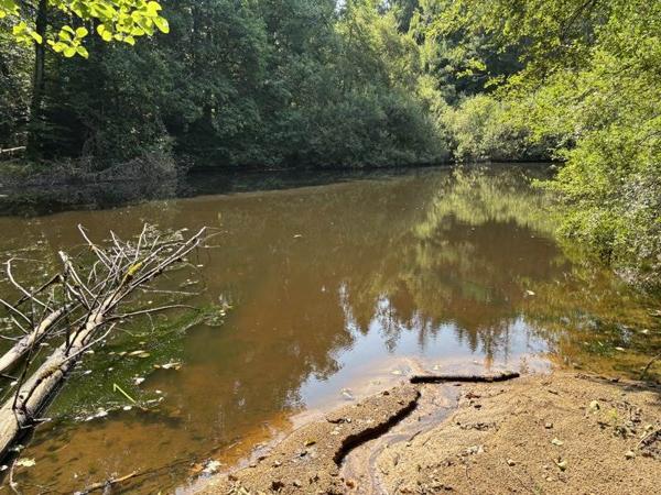 Terrain à vendre |  Bussière-Galant |  4270 m²