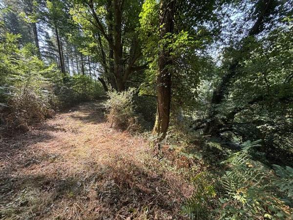 Terrain à vendre |  Bussière-Galant |  4270 m²