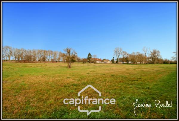Maison en pierre à vendre 5 pièces 3 chambres Dépendances Terrain 1,5 ha Champigny-En-Rochereau (86)