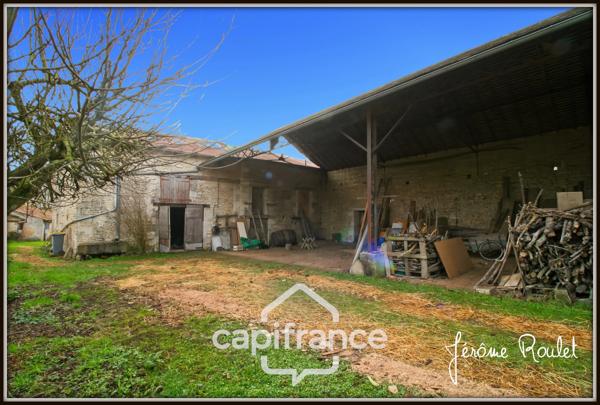 Maison en pierre à vendre 5 pièces 3 chambres Dépendances Terrain 1,5 ha Champigny-En-Rochereau (86)