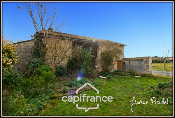 Maison en pierre à vendre 5 pièces 3 chambres Dépendances Terrain 1,5 ha Champigny-En-Rochereau (86)