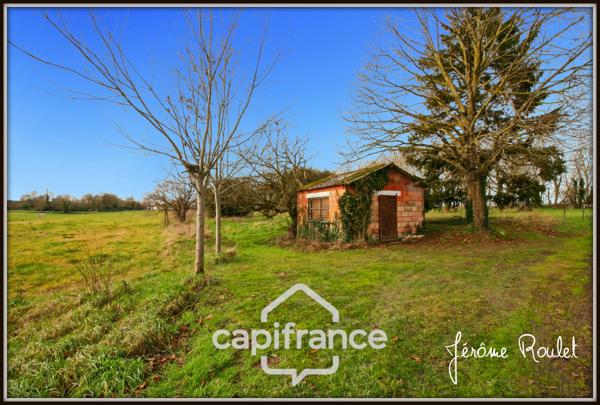 Maison en pierre à vendre 5 pièces 3 chambres Dépendances Terrain 1,5 ha Champigny-En-Rochereau (86)
