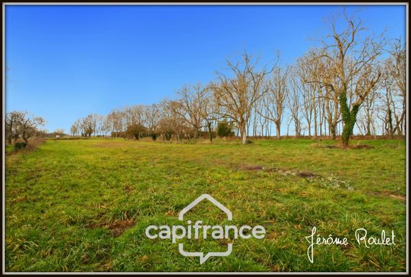 Maison en pierre à vendre 5 pièces 3 chambres Dépendances Terrain 1,5 ha Champigny-En-Rochereau (86)