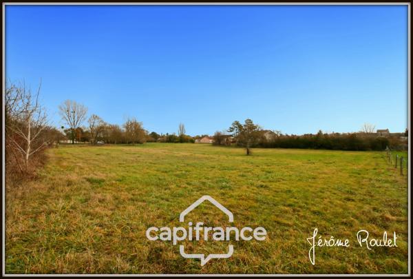 Maison en pierre à vendre 5 pièces 3 chambres Dépendances Terrain 1,5 ha Champigny-En-Rochereau (86)