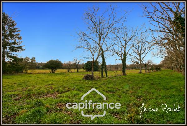 Maison en pierre à vendre 5 pièces 3 chambres Dépendances Terrain 1,5 ha Champigny-En-Rochereau (86)