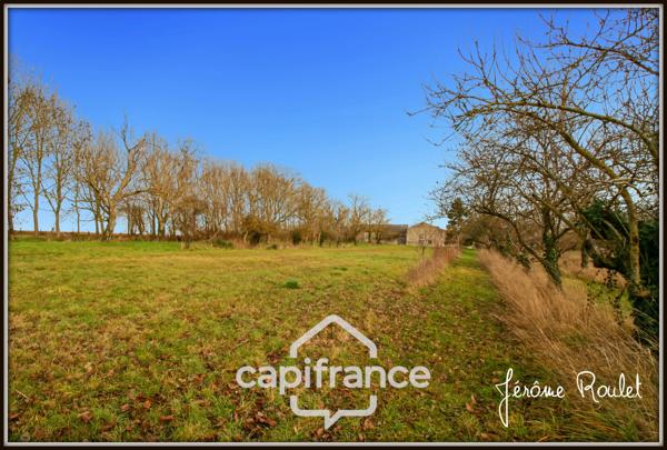 Maison en pierre à vendre 5 pièces 3 chambres Dépendances Terrain 1,5 ha Champigny-En-Rochereau (86)
