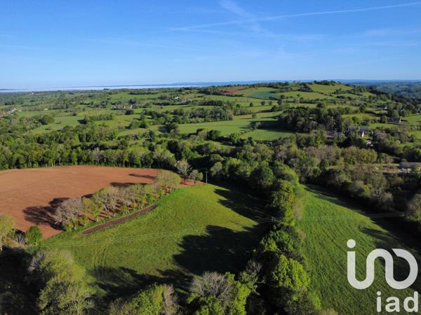 Maison à vendre 2 pièces 250 m² Ally