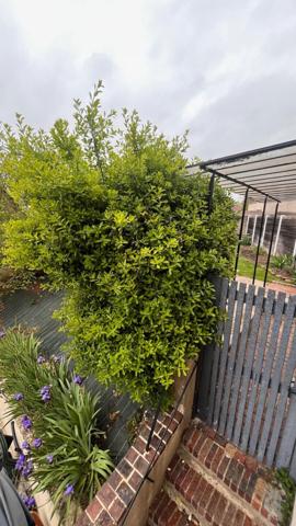 APPARTEMENT T2