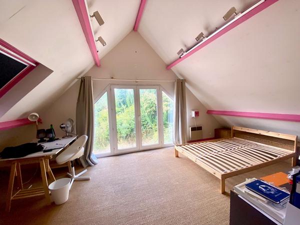 Olivet propriété de charme 250 M2 6 chambres , 1 studio, parc environ 3200 m2 .