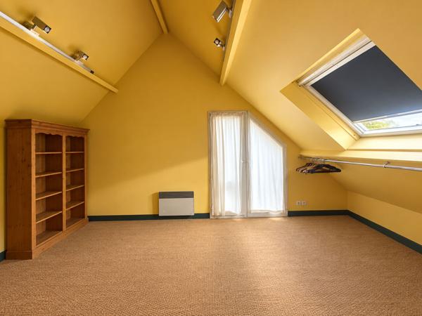 Olivet propriété de charme 250 M2 6 chambres , 1 studio, parc environ 3200 m2 .