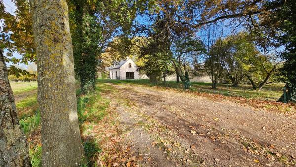 Maison rénovée avec dépendance – cadre champêtre sans vis-à-vis Luché-Pringé (72)