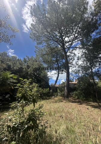 Saint-Palais-sur-Mer (17420) SAINT PALAIS / MER - Maison atypique - proche plage - AU PRIX DE 977.600€ HAI