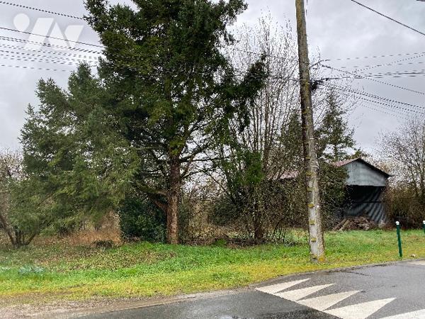 LOT TERRAINS CONSTRUCTIBLES + GRANGE + HANGAR