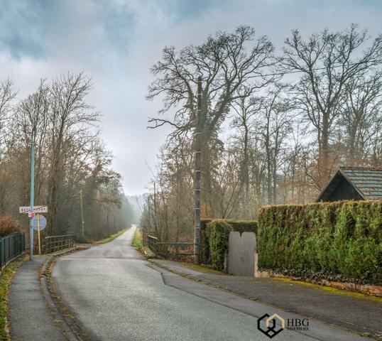 Betschdorf (67660) Betschdorf Duplex 4 pièces 73,62 m² Terrasse & nature à portée de main