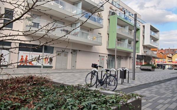 Appartement à louer    1 pièce •  Schiltigheim