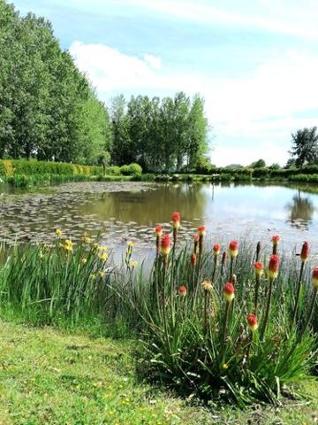 Terrain de loisirs à vendre à La Baconnière en Mayenne (53240), ref : 53090-710