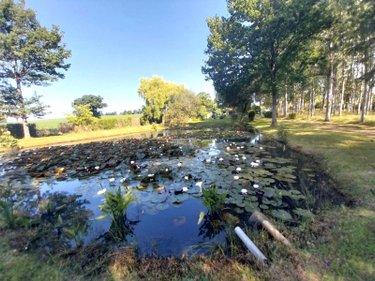 Terrain de loisirs à vendre à La Baconnière en Mayenne (53240), ref : 53090-710