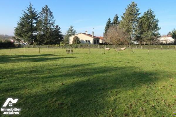 VENTE TERRAIN A BÂTIR - LA CHATAIGNERAIE