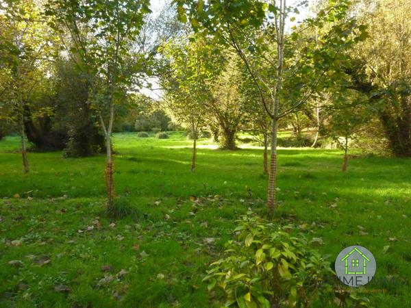 Terrain de loisir dans un cadre champêtre