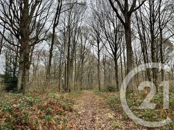 Terrain à vendre  420000 m2 ORBEC - 14