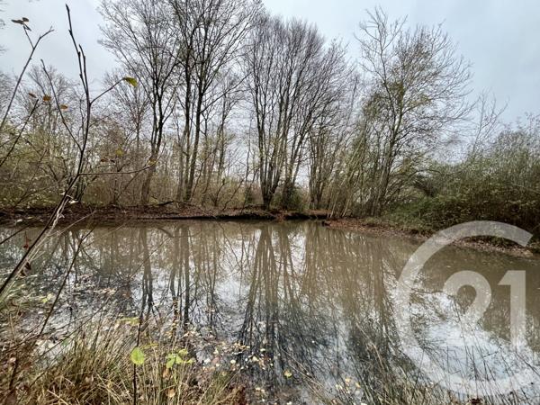 Terrain à vendre  420000 m2 ORBEC - 14