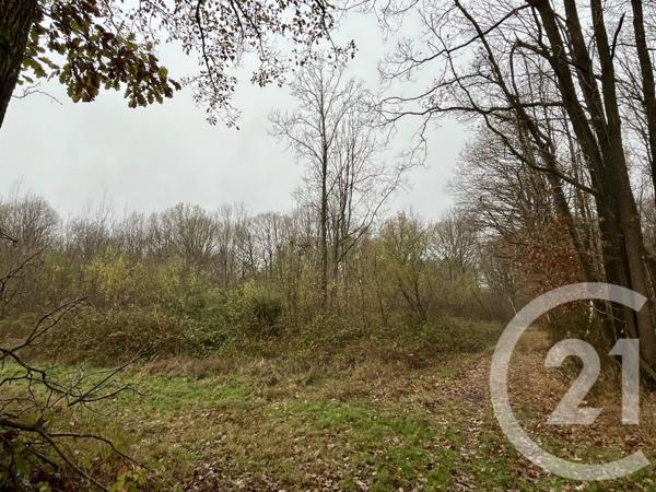 Terrain à vendre  420000 m2 ORBEC - 14