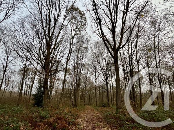 Terrain à vendre  420000 m2 ORBEC - 14