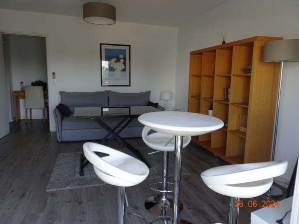 Location Appartement meublé 1 pièce Châteauroux (36000)
