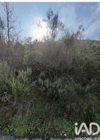 Terrain à vendre 65 360 m² Caramany