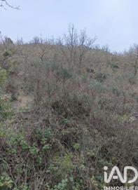 Terrain à vendre 65 360 m² Caramany