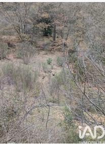 Terrain à vendre 65 360 m² Caramany