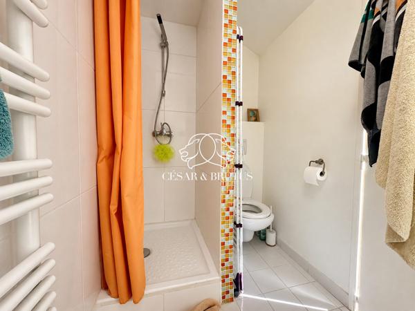Appartement T5 de 105 m² – Lyon 3, Sans Souci – Duplex en dernier étage avec vue