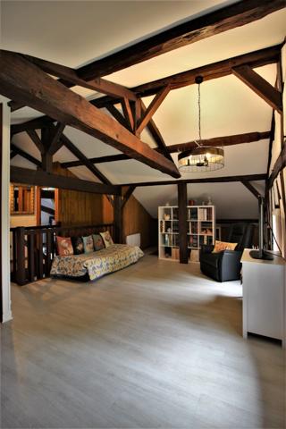 Airial entre Dax et la côte d'argent