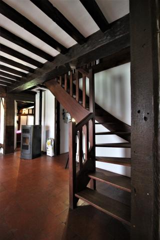 Airial entre Dax et la côte d'argent