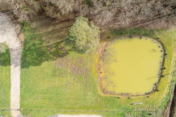 Terrain constructible - Thenioux, avec un étang - 4322 m²  -