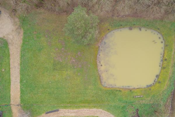 Terrain constructible - Thenioux, avec un étang - 4322 m²  -