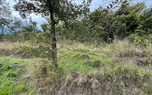 Terrain à vendre |  Burlats |  1684 m²