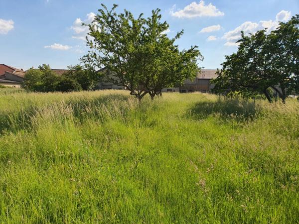 Dpt Vosges (88), à vendre proche CONTREXEVILLE - FERME LORRAINE à réhabiliter / Terrain env 4000 m2