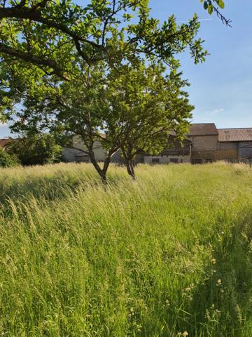 Dpt Vosges (88), à vendre proche CONTREXEVILLE - FERME LORRAINE à réhabiliter / Terrain env 4000 m2