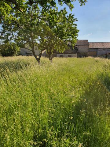 Dpt Vosges (88), à vendre proche CONTREXEVILLE - FERME LORRAINE à réhabiliter / Terrain env 4000 m2