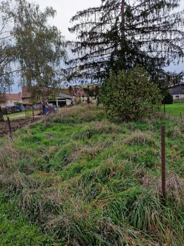 Dpt Vosges (88), à vendre proche CONTREXEVILLE - FERME LORRAINE à réhabiliter / Terrain env 4000 m2