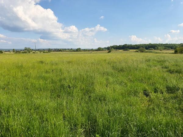 Dpt Vosges (88), à vendre proche CONTREXEVILLE - FERME LORRAINE à réhabiliter / Terrain env 4000 m2