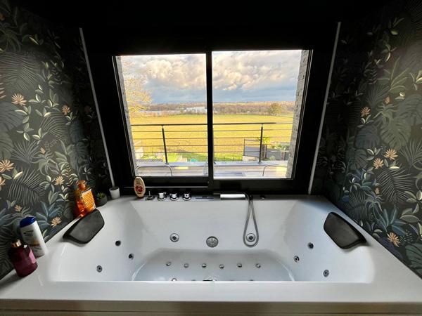 Maison contemporaine de 2021 avec piscine et superbe vue sur la base nautique de Montrevel-en-Bresse..