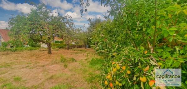 ✨ Maison avec terrain arboré – Fort potentiel après rénovation ✨